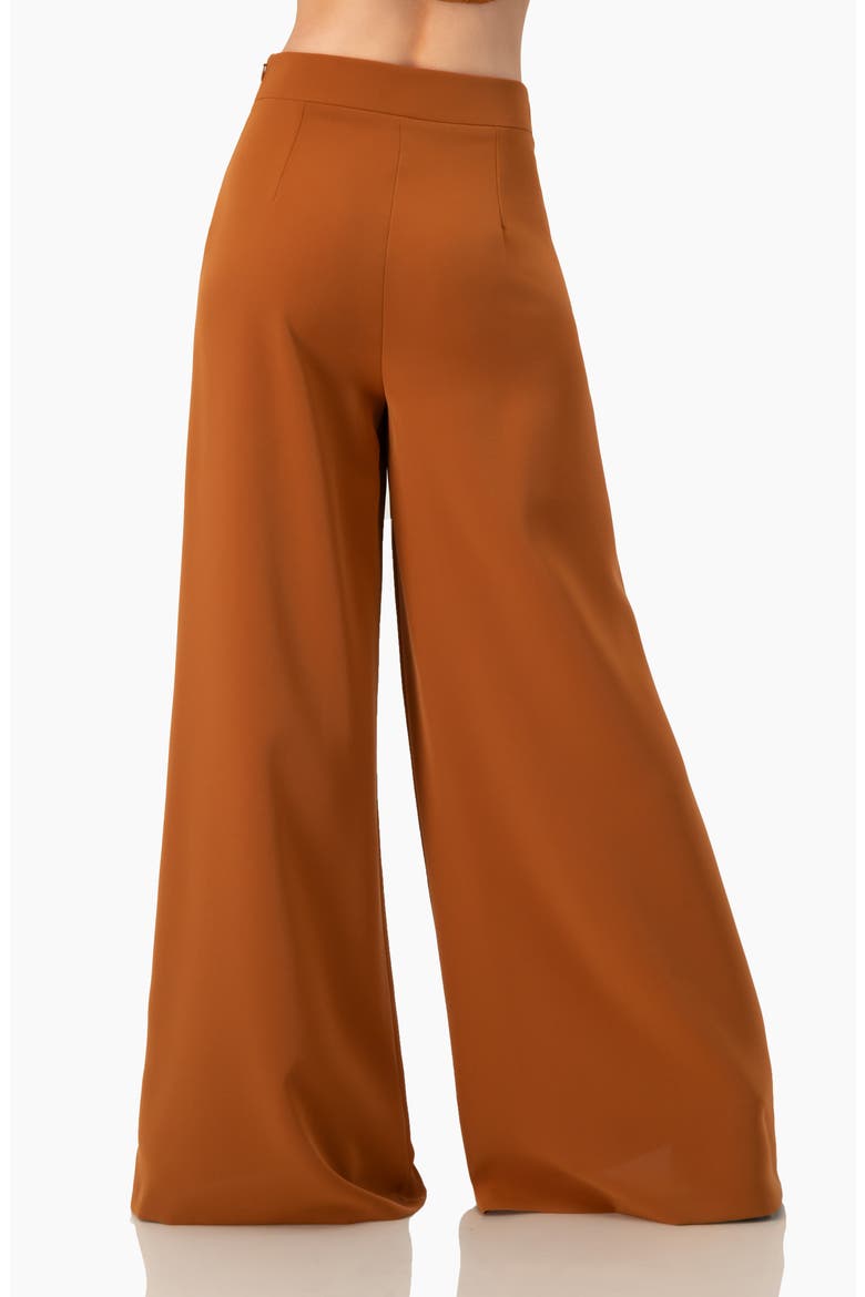 Solid Ultra Wide-Leg Pants, Alternate, color, Brown