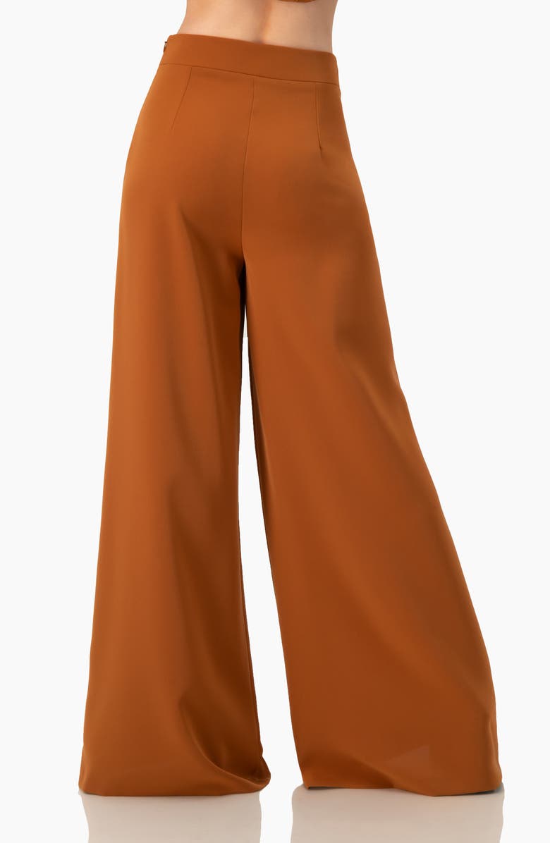 IVONNE Solid Ultra Wide-Leg Pants, Alternate, color, Brown