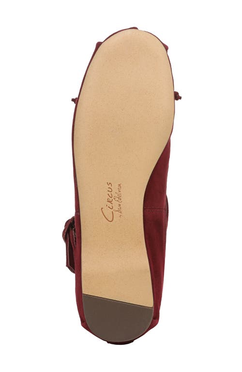 Circus Ny By Sam Edelman Zuri Strappy Ballet Flat In Burgundy