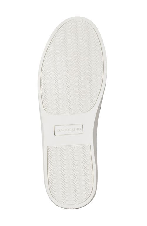 Shop Bandolino Bryce2 Knit Sneaker In Navy