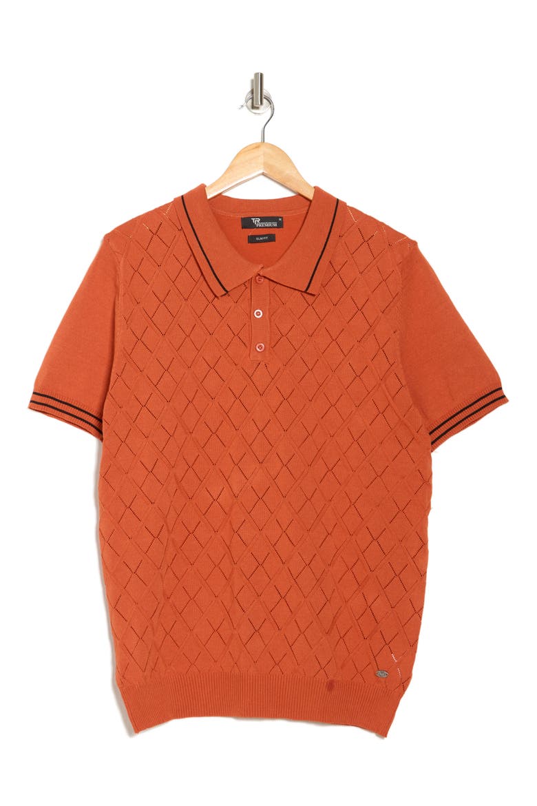 Tipped Collar Sweater Knit Polo, Alternate, color, BRICK
