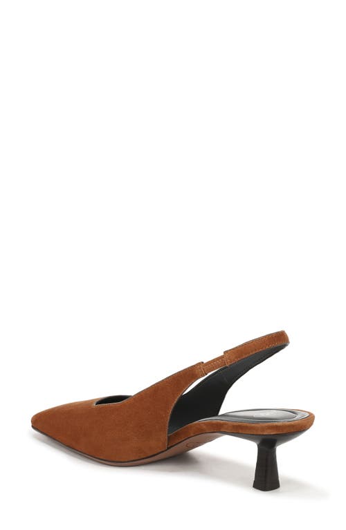 Sarto By Franco Sarto Raven Slingback Kitten Heel Pump