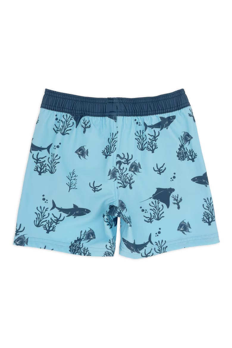 Kids' Aquatic Print Volley Swim Trunks, Alternate, color, CRYSTAL BLUE