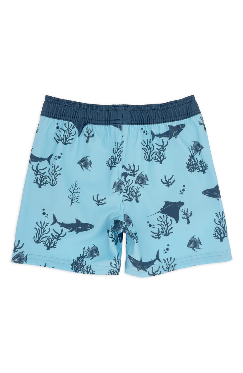 Feather 4 Arrow Kids' Aquatic Print Volley Swim Trunks, Alternate, color, 