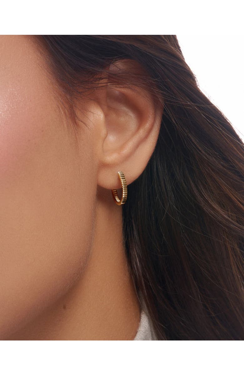 ZARUX Golden Halo Hoops 2mm, Alternate, color, Yellow Gold