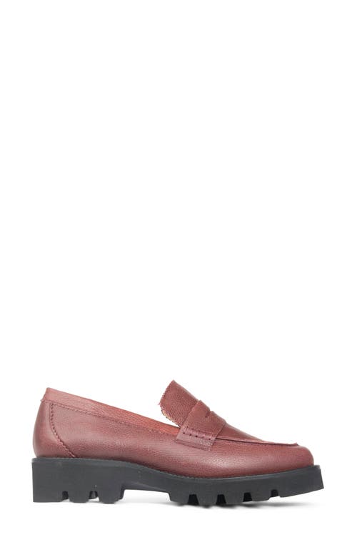Patricia Green Vince Lug Sole Penny Loafer In Burgundy