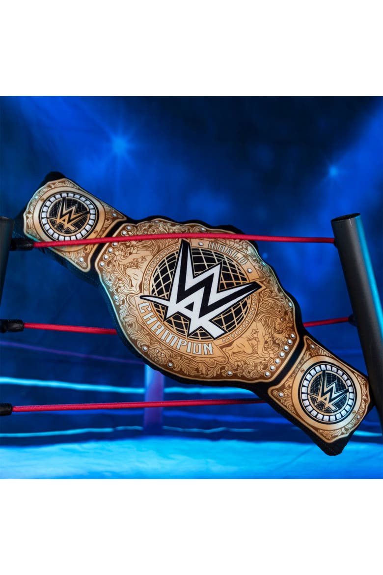 WWE Heavyweight Championship Belt 24" Bleacher Buddy, Alternate, color, None