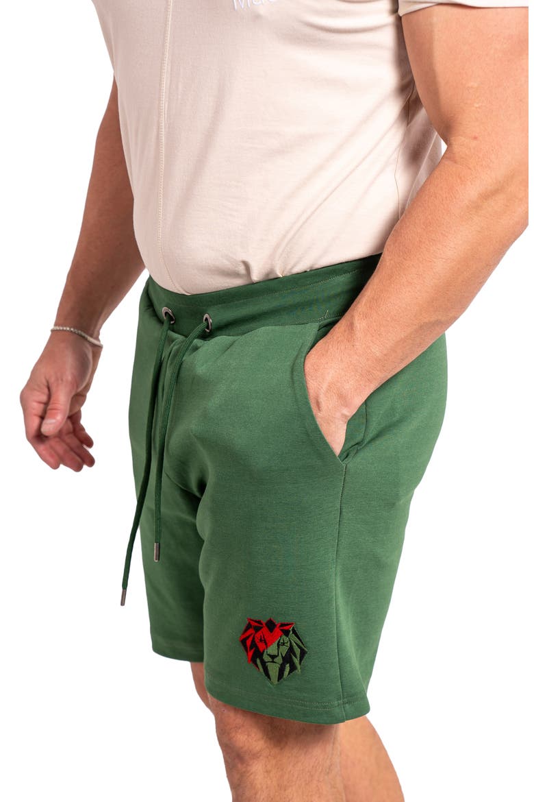 Acension 84 Drawstring Shorts, Alternate, color, GREEN