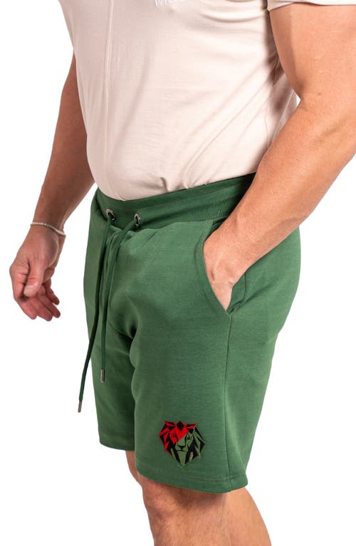 Maceoo Acension 84 Drawstring Shorts In Green