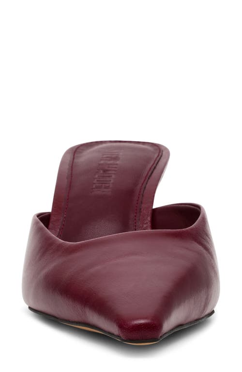 Steve Madden Lisbeth Pointed Toe Mule