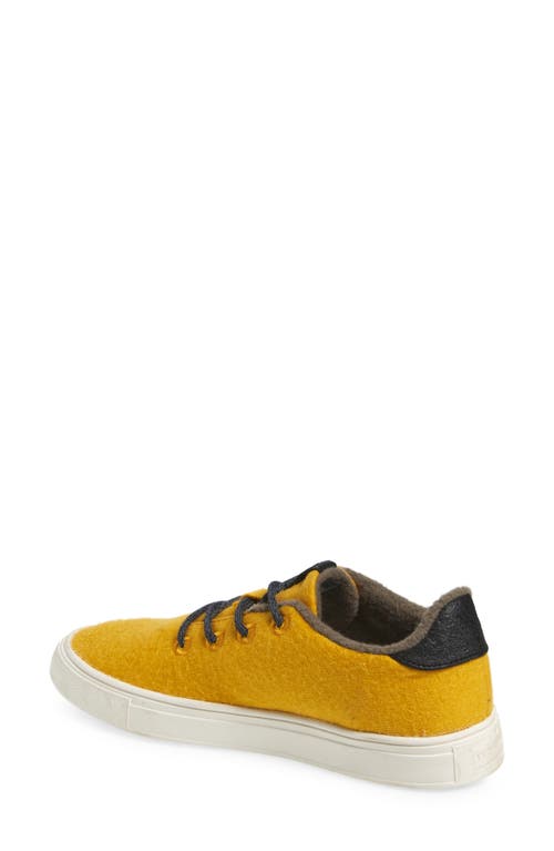 Yy Nation Cirro Wool Blend Water Resistant Low Top Sneaker In Spectra Yellow/white