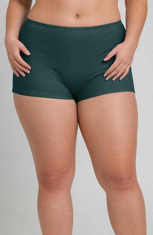 Calypsa Plus Size Boyshorts In Green