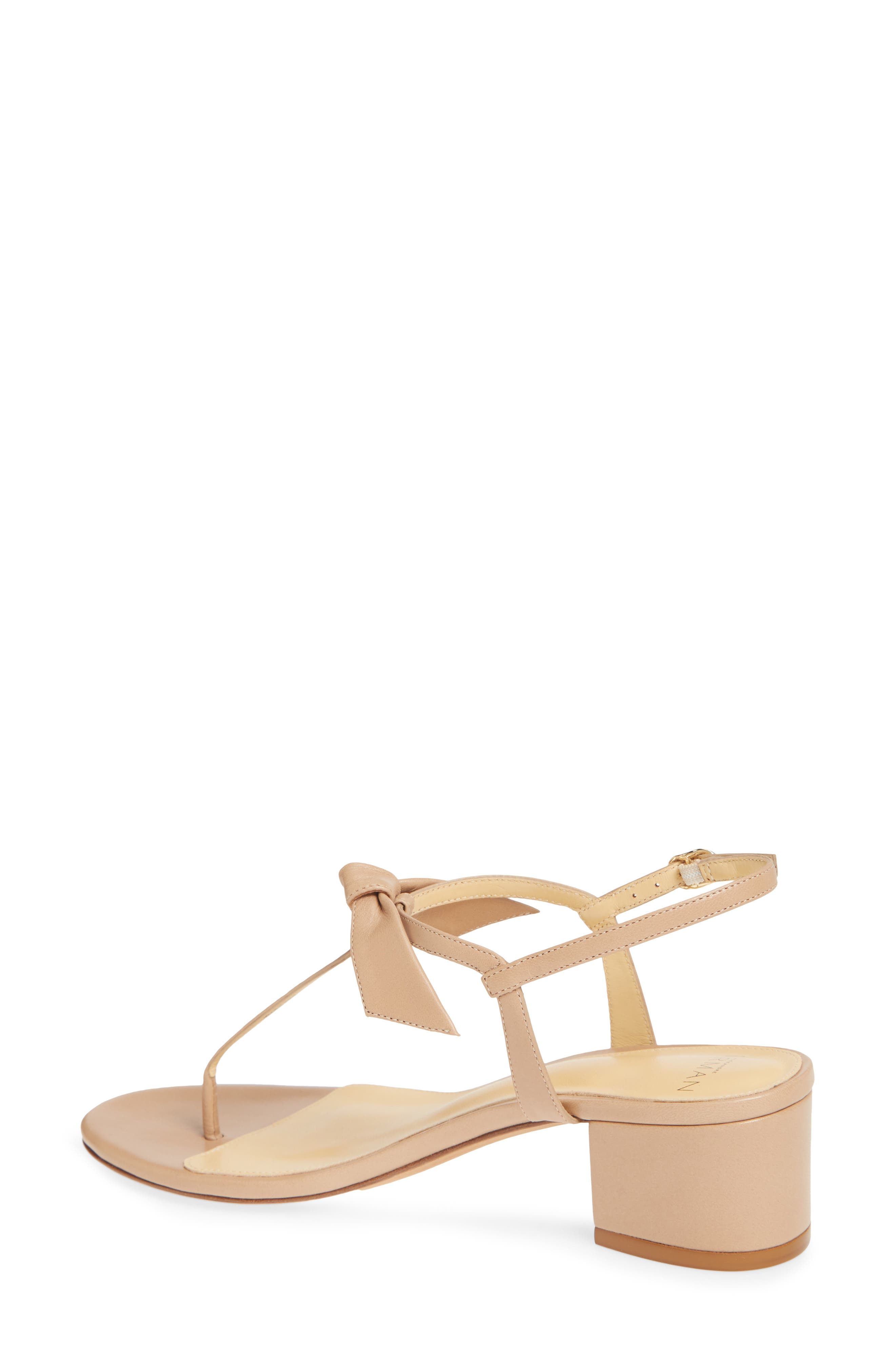 Alexandre Birman Clarita T-Strap Sandal, Alternate, color, 