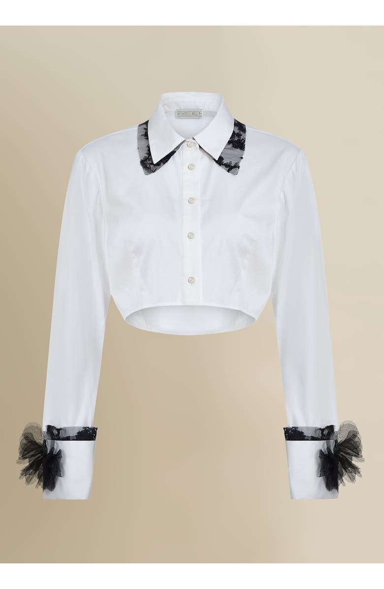 Contessa Mills Raven Cropped Lace-Trim Poplin Shirt, Alternate, color, White