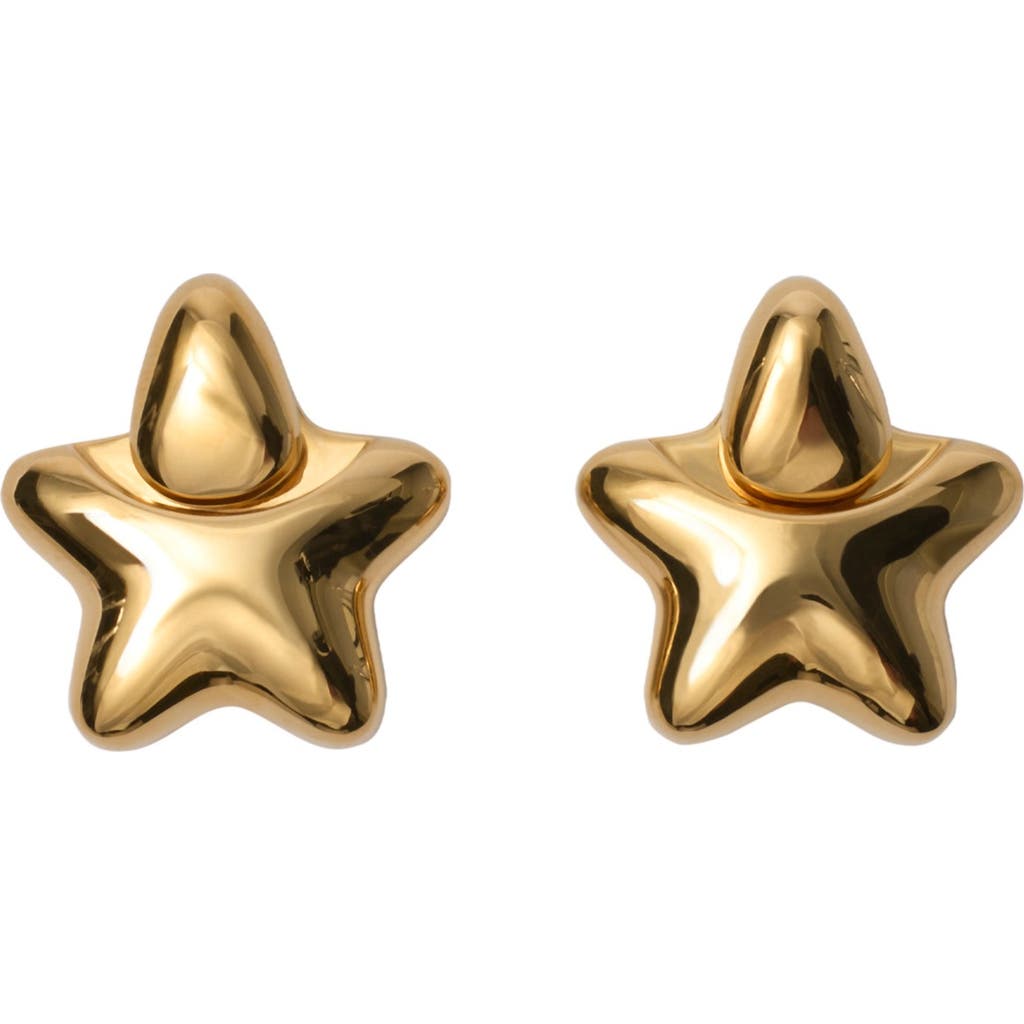 Burberry Star Earrings In Metallic