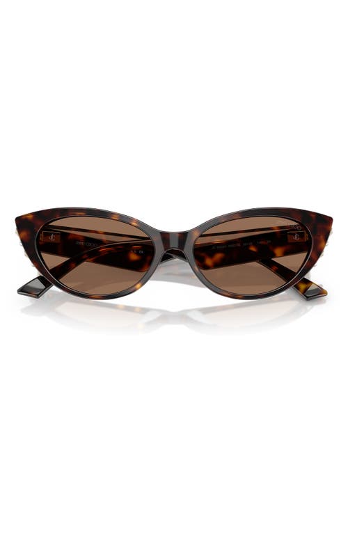 Jimmy Choo 55mm Cat Eye Sunglasses In Havana