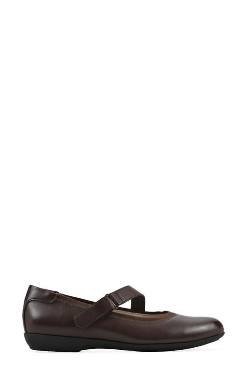 Cliffs By White Mountain Carwen Mary Jane Flat In Brown