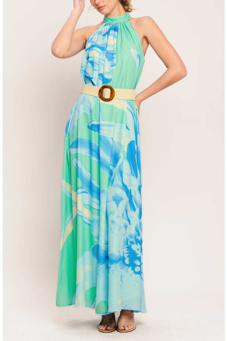Print Maxi Dress, Alternate, color, MINT/ BLUE