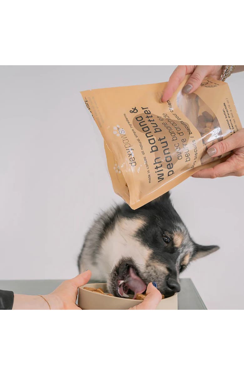 Dexypaws Banana, Oat 
Peanut Butter Dog Biscuits 12oz, Alternate, color, Brown