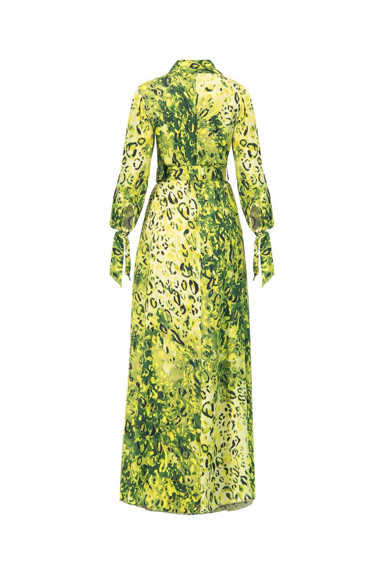 Long Sleeve Printed Maxi Shirt Dress, Alternate, color, Green