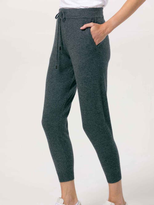 Gobi Mongolian Cashmere Cuffed Cashmere Jogger In Purple