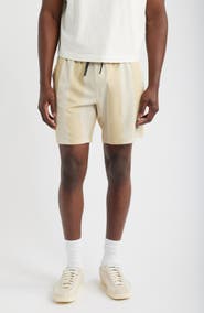 SANTO STUDIO Appreciate Striped Tech Shorts