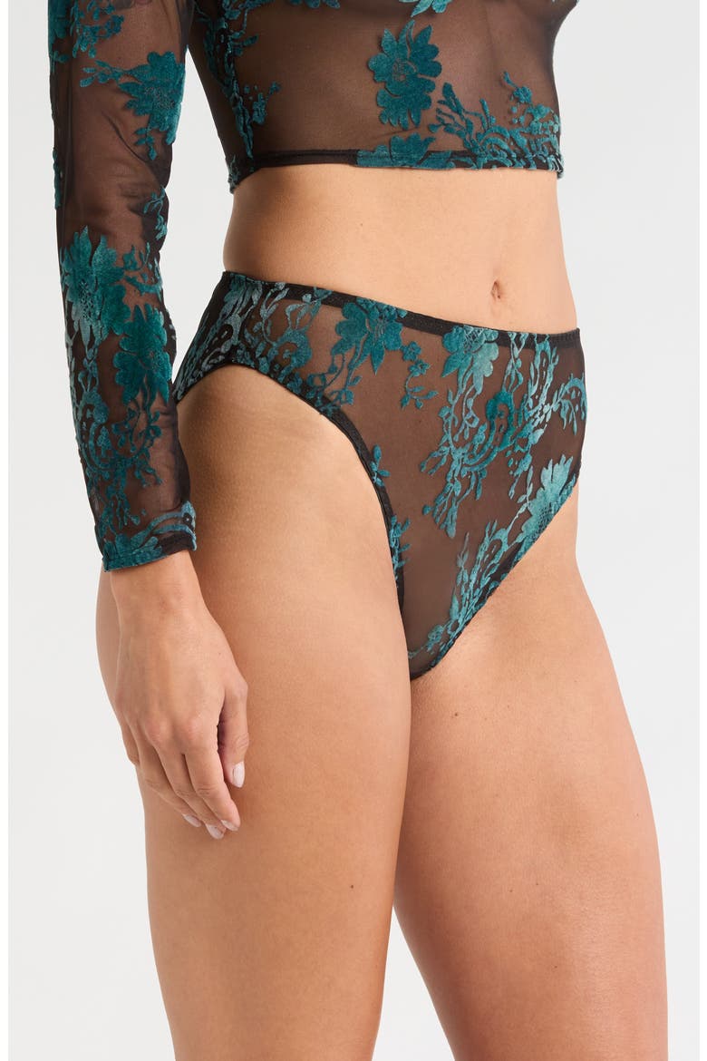 High Cut Embroidered Mesh Briefs, Alternate, color, BLACK EMERALD