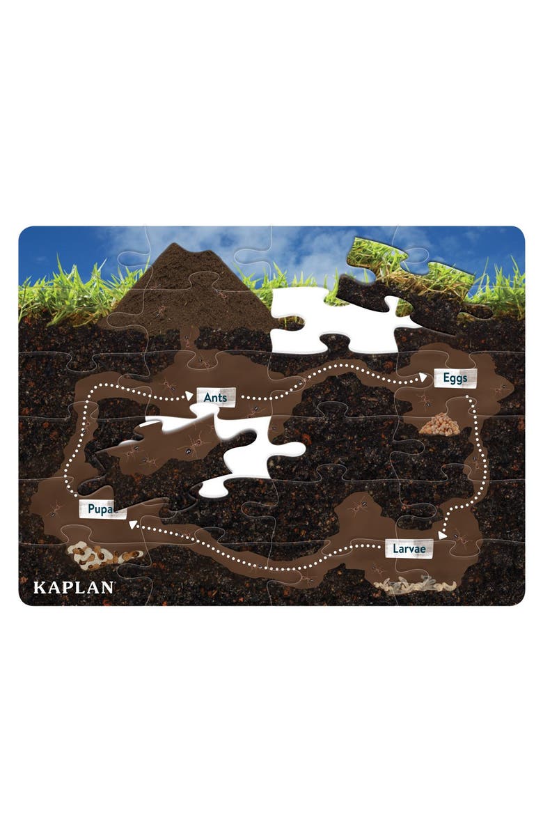 Kaplan Early Learning Company Life Cycle Floor Puzzle from Egg to Ant - 24 Pieces, Main, color, Brown