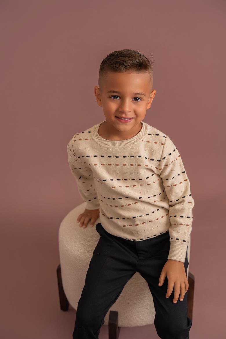 Long Sleeve Knitted Sweater, Alternate, color, Dark Almond/Black