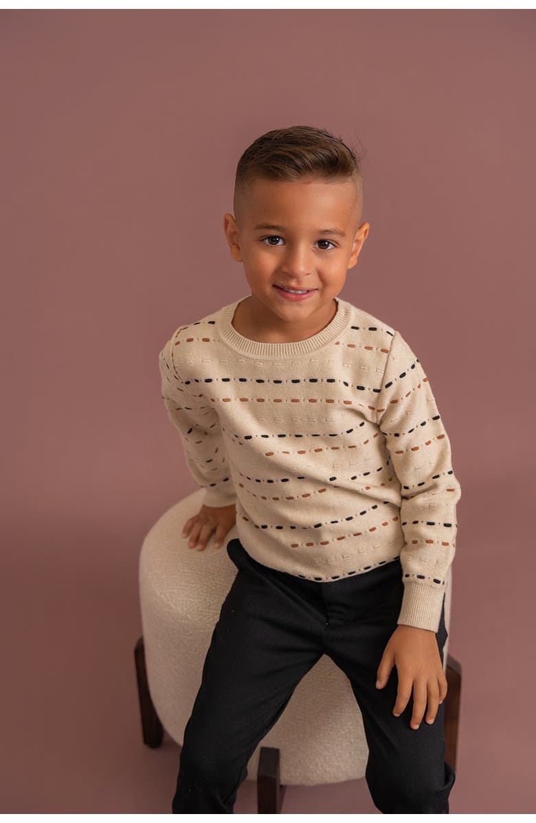 Mr. Mr. Long Sleeve Knitted Sweater, Alternate, color, Dark Almond/Black