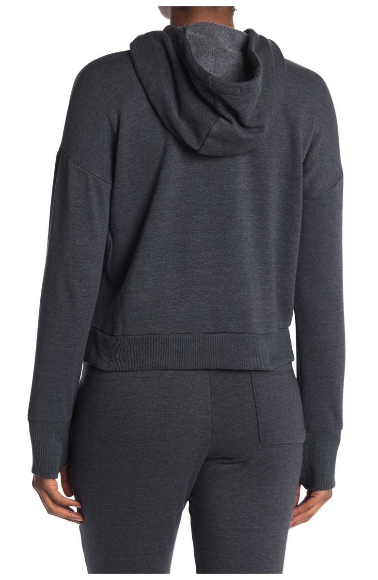 90 DEGREE BY REFLEX Stone Washed Cropped Hoodie, Alternate, color, 