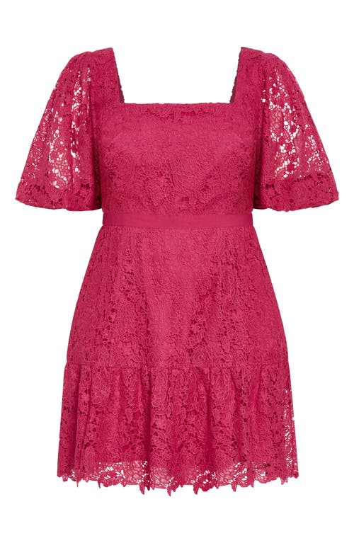 City Chic Priscilla Lace Minidress In Lilac Rose