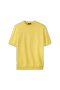  Light Yellow