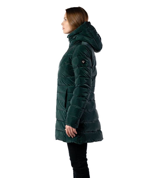 Woodpecker Long Robin Medium Weight Coat In Green