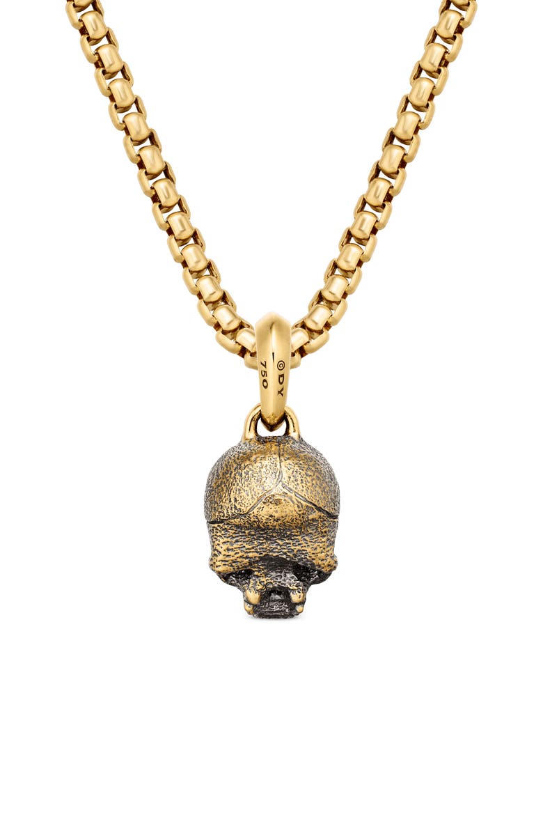 Men's Memento Mori 18K Gold Skull Amulet, Alternate, color, GOLD