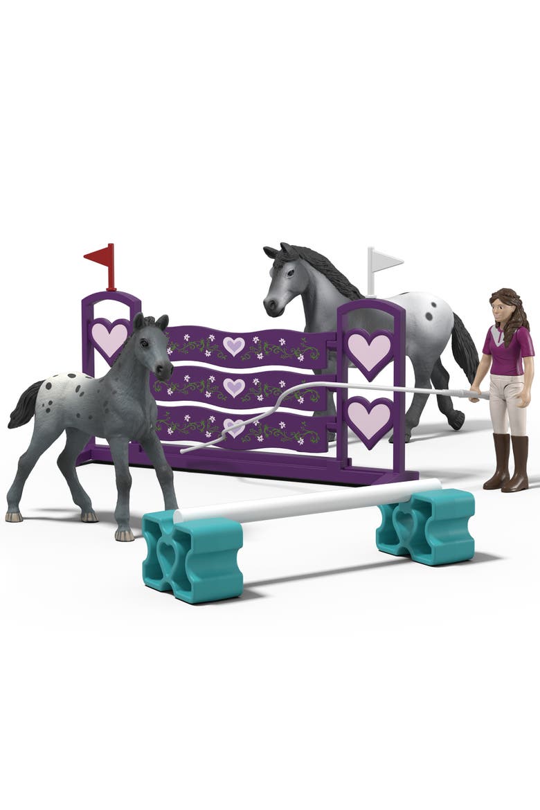 Horse Club, Lisa's Tournament Training, 7 Piece Playset, Posable Rider, 4+, Main, color, Multicolored