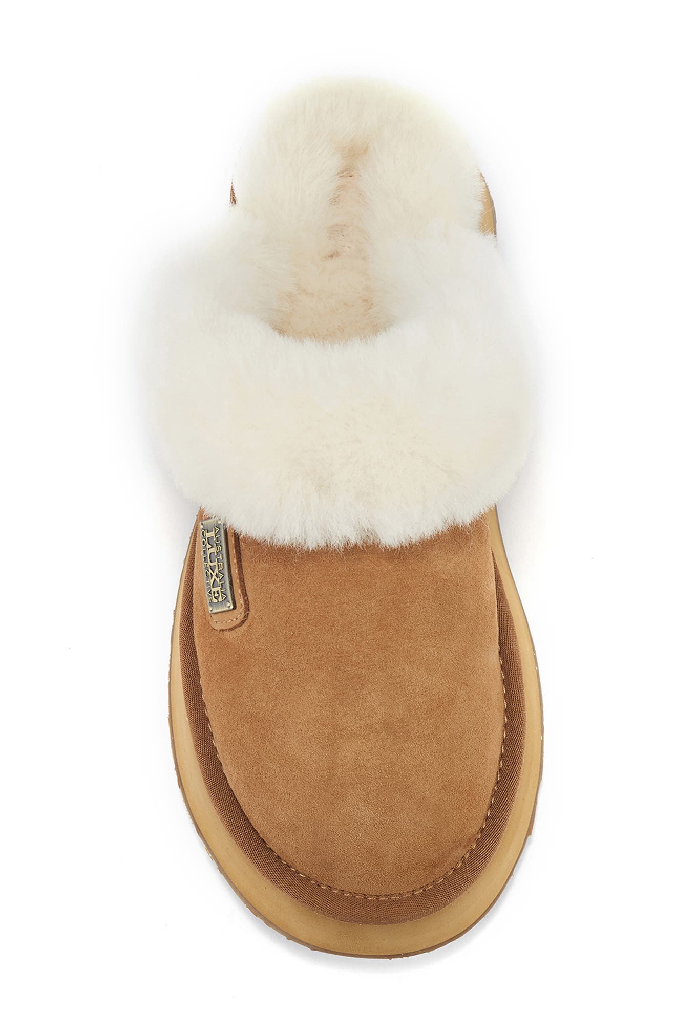 Australia Luxe Collective Genuine Shearling Platform Mule Slipper, Alternate, color, Chestnut
