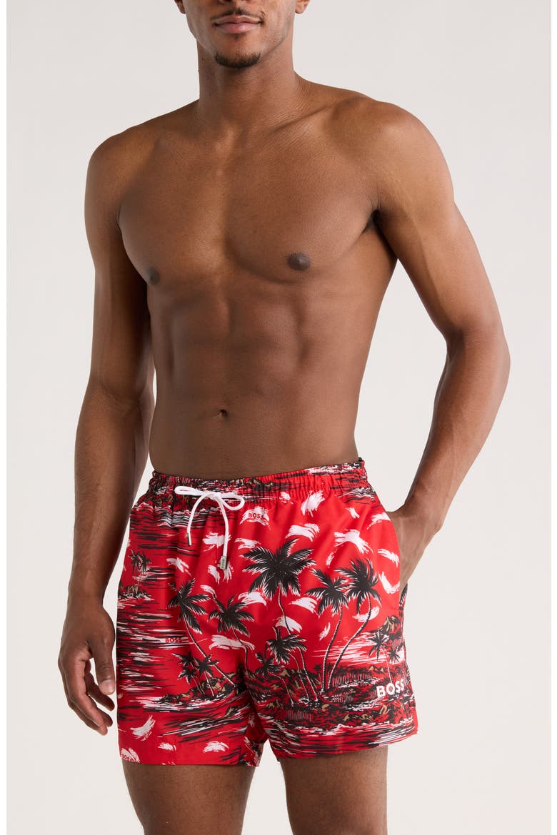 Springfish Swim Trunks, Main, color, BT RD
