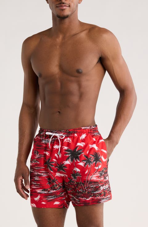 Springfish Swim Trunks
