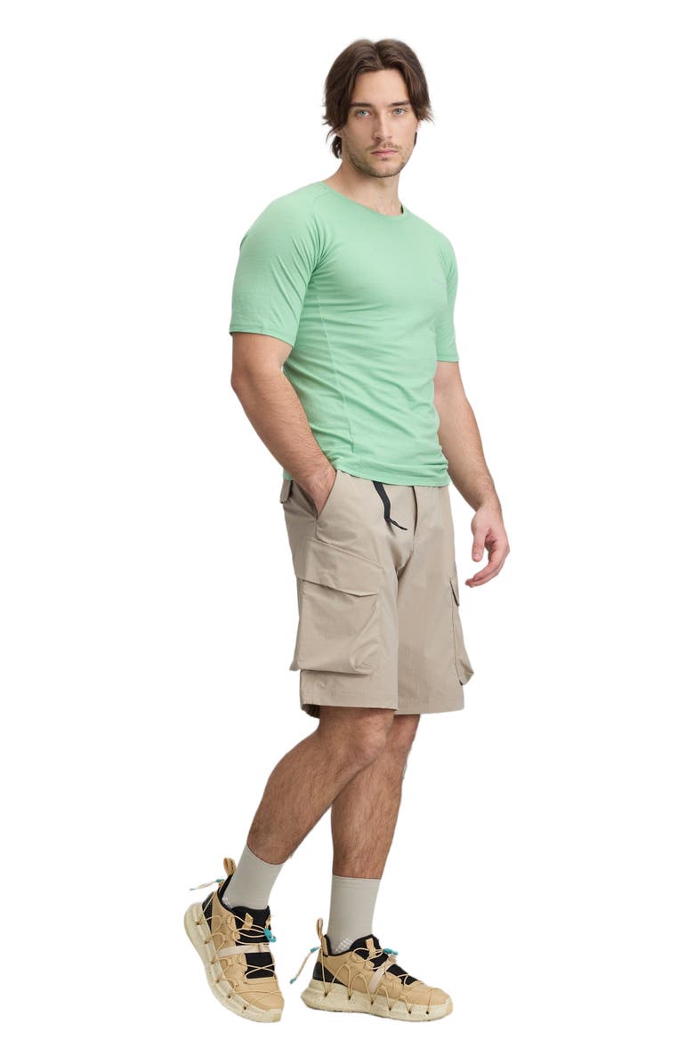 COZY ZERO Men's 100% Merino Reglan Tee, Main, color, Apple Green