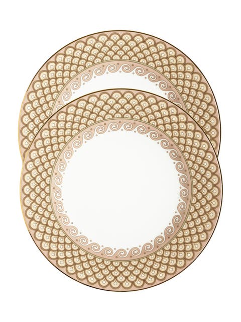 Dinner Plates Set Of 2 Odysseus Dusty Pink