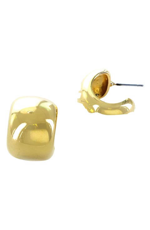 Chubby Hoop Earrings