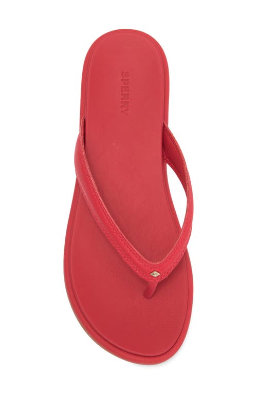 Sperry Isla Flip Flop In Adrenaline Rush Leather Smooth