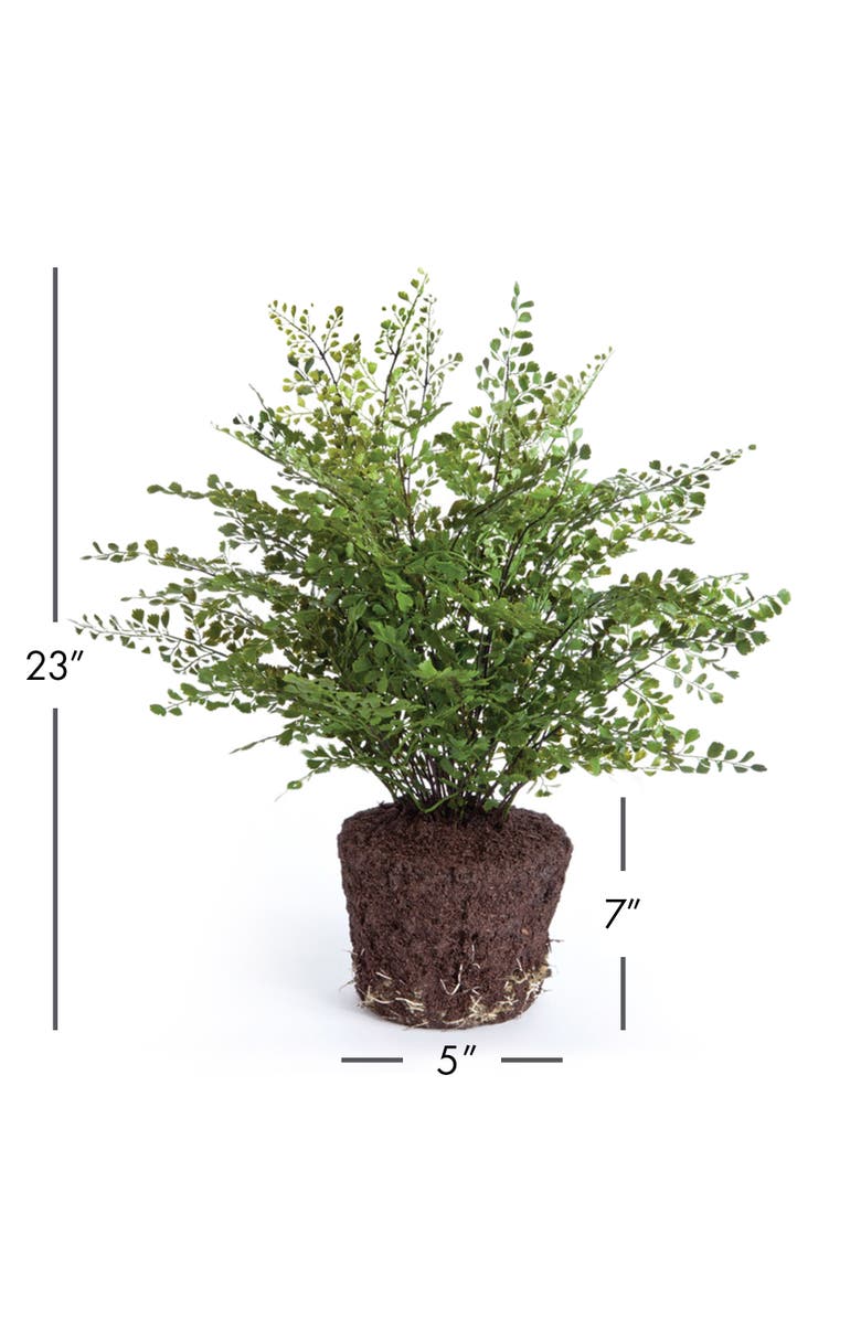 Napa Home & Garden Maidenhair Drop-In Faux (Fake) 23", Alternate, color, 