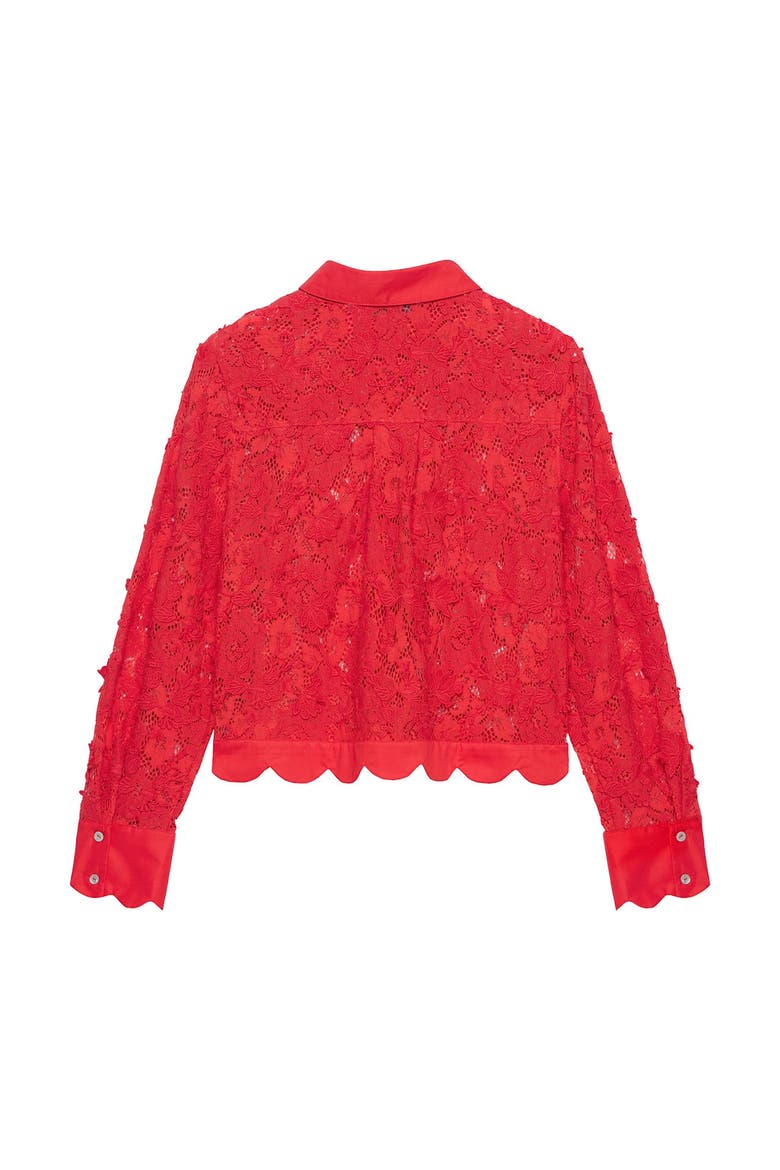 Lace Cropped Shirt, Alternate, color, Red