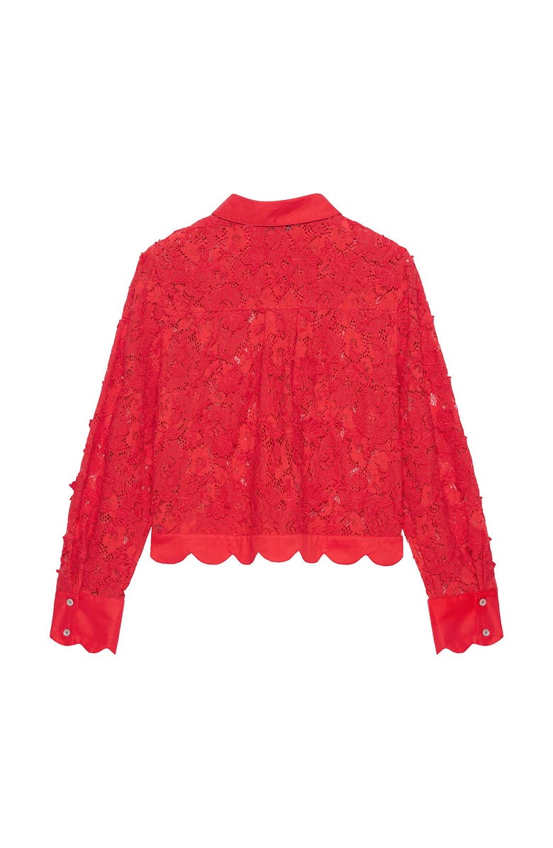 MINT VELVET Lace Cropped Shirt, Alternate, color, Red
