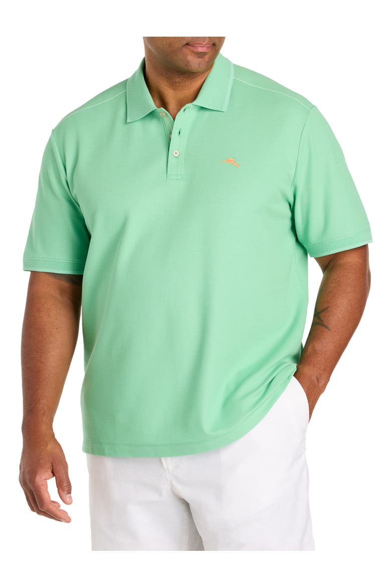 Big & Tall Emfielder IslandZone® Polo Shirt, Main, color, LT NEPTUNE GREEN
