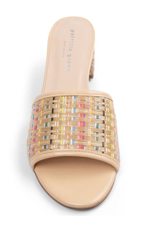 Patricia Green Harper Raffia Slide Sandal In Rainbow Raffia