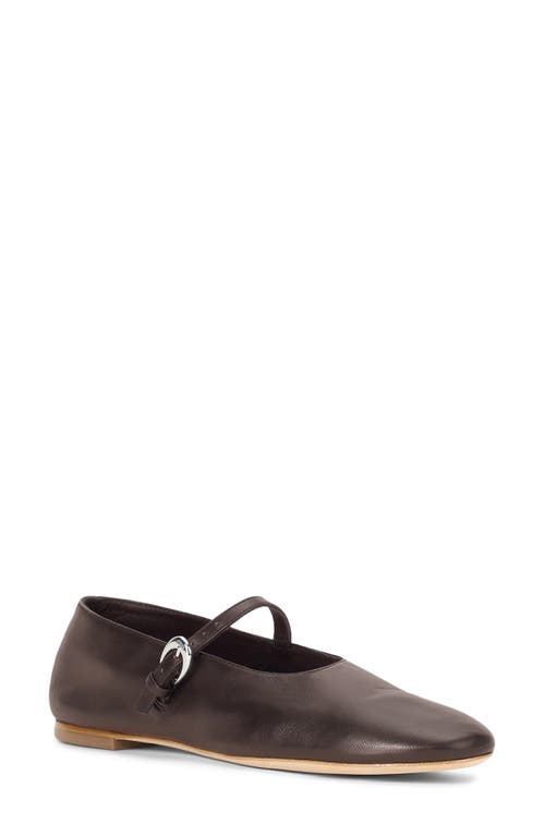 Staud Alba Mary Jane Ballet Flats Espresso In Multi