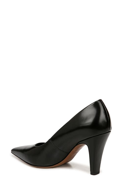 SARTO BY FRANCO SARTO SARTO BY FRANCO SARTO SAGE POINTED TOE PUMP 